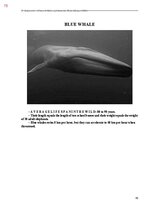 Э-книга 'Тайный остров', 433.