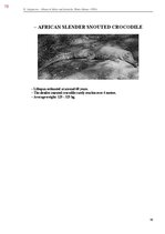 Э-книга 'Тайный остров', 436.