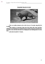 Э-книга 'Тайный остров', 437.