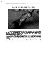 Э-книга 'Тайный остров', 448.