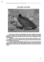 Э-книга 'Тайный остров', 461.
