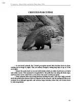 Э-книга 'Тайный остров', 481.