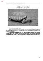 Э-книга 'Тайный остров', 483.