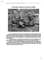 Э-книга 'Тайный остров', 491.