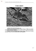 Э-книга 'Тайный остров', 509.