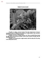 Э-книга 'Тайный остров', 511.