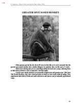 Э-книга 'Тайный остров', 532.