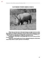 Э-книга 'Тайный остров', 545.