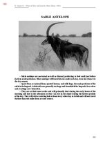 Э-книга 'Тайный остров', 551.
