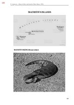 Э-книга 'Тайный остров', 563.