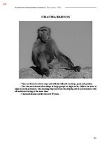 Э-книга 'Тайный остров', 580.