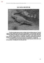 Э-книга 'Тайный остров', 584.
