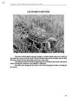 Э-книга 'Тайный остров', 587.