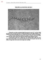 Э-книга 'Тайный остров', 590.
