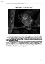 Э-книга 'Тайный остров', 603.