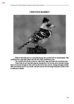 Э-книга 'Тайный остров', 613.