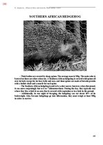 Э-книга 'Тайный остров', 638.