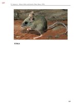 Э-книга 'Тайный остров', 656.