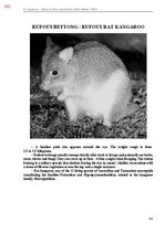 Э-книга 'Тайный остров', 661.
