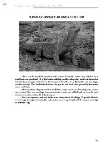 Э-книга 'Тайный остров', 665.