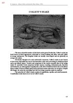 Э-книга 'Тайный остров', 666.