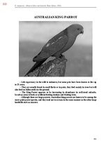 Э-книга 'Тайный остров', 682.