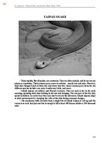 Э-книга 'Тайный остров', 690.