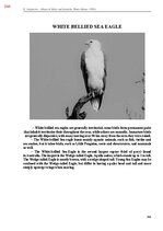 Э-книга 'Тайный остров', 703.