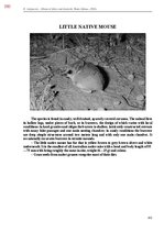 Э-книга 'Тайный остров', 709.
