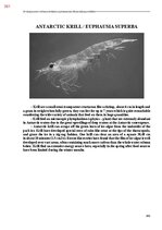 Э-книга 'Тайный остров', 720.