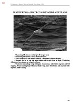 Э-книга 'Тайный остров', 723.