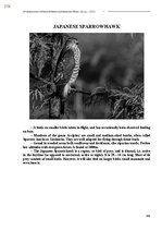 Э-книга 'Тайный остров', 733.