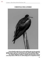 Э-книга 'Тайный остров', 735.