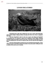 Э-книга 'Тайный остров', 738.