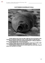 Э-книга 'Тайный остров', 744.