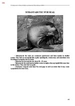 Э-книга 'Тайный остров', 745.
