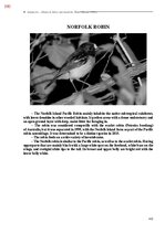 Э-книга 'Тайный остров', 749.