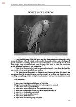 Э-книга 'Тайный остров', 751.