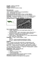 Конспект 'Mikrobioloģija. Kampilobaktērijas un helikobaktērijas', 2.
