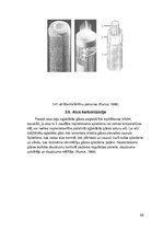 Реферат 'Tumšā alus ražošanas procesi un iekārtas', 68.