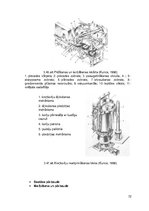Реферат 'Tumšā alus ražošanas procesi un iekārtas', 72.