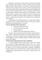 Отчёт по практике 'Iepirkumu organizēšana uzņēmumā SIA "Baltrotors"', 20.