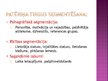 Презентация 'Tirgus segmentācija', 9.