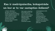 Презентация 'Mežrūpniecība un kokapstrāde', 3.