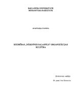 Реферат 'Biedrības "Nākotnes Salaspils" organizācijas kultūra', 1.