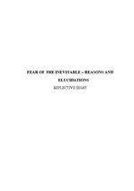 Конспект 'Fear of the Inevitable - Reasons and Elucidations', 1.