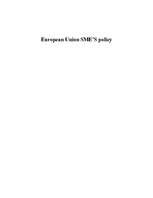 Реферат 'European Union Small and Medium Enterprises Policy', 1.