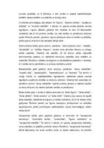 Эссе 'Jurisprudence – glosārijs un tiesību terminoloģijas nozīme', 5.