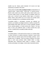 Эссе 'Jurisprudence – glosārijs un tiesību terminoloģijas nozīme', 6.