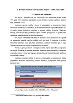 Реферат 'Uzņēmuma "Aqua - Brambis" SIA maksātspējas analīze un prognozēšana', 6.